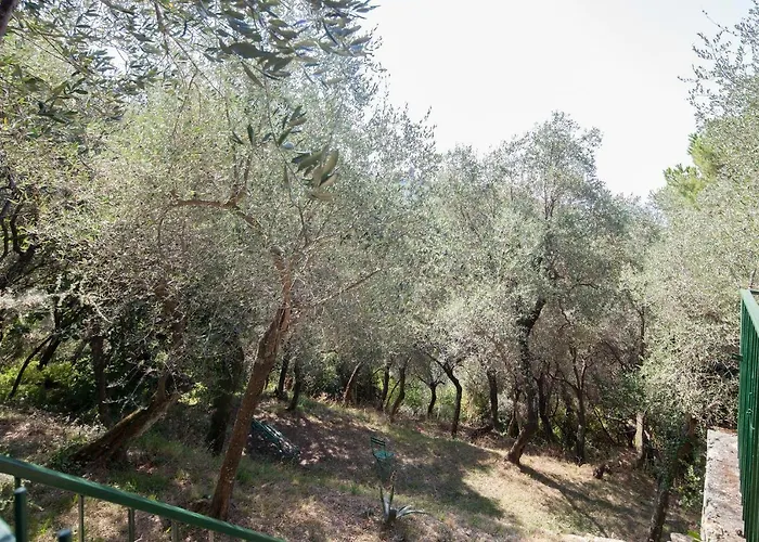 2 Parking - Lerici Center & Home - Rustegu Duze Lerici